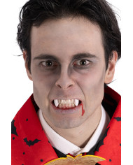 Canine teeth in blister