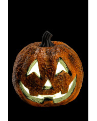 Zucca decorativa con luci diam.cm.16 ca. (batterie incluse) con cartellino/etichetta Zucca decorativa con luci diam.cm.16 ca. (batterie incluse) con cartellino/etichetta