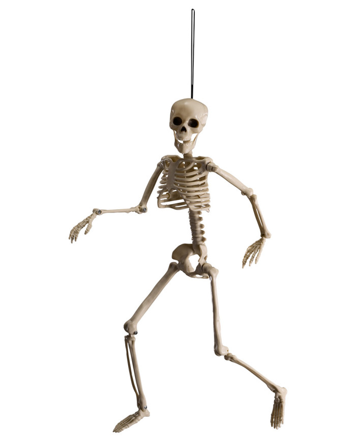 Detachable skeleton hangtag h.cm.40 with label