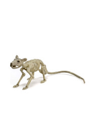 Mäuse-Skelett aus Kunststoff, ca. 25 cm lang, mit Pappschild/Etikett