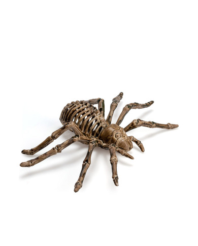 Esqueleto araña de plástico de 23 cm de diám. aprox. con etiqueta colgante/etiqueta adhesiva