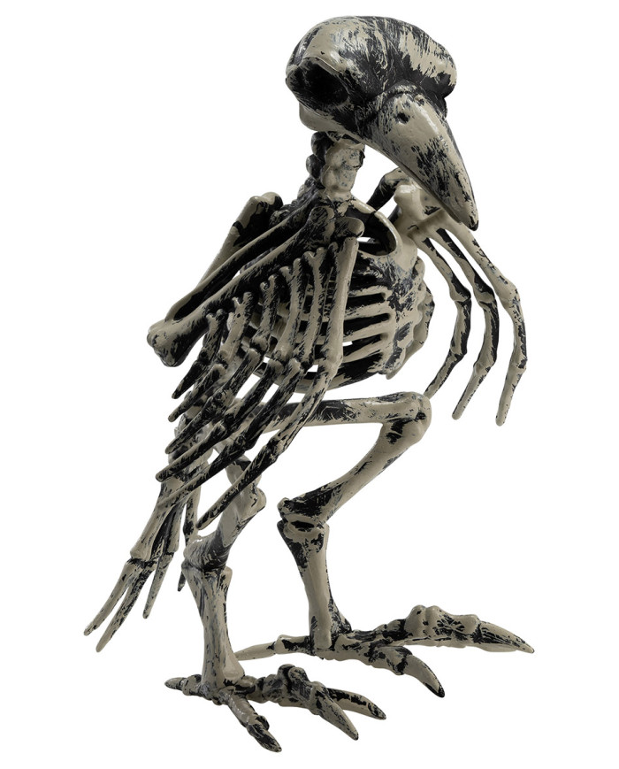 Plastic skeleton crow h.cm.20 with label