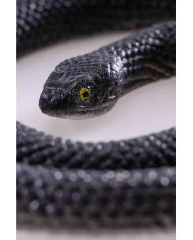 Serpente in plastica lungh.cm.70 ca. su cartoncino