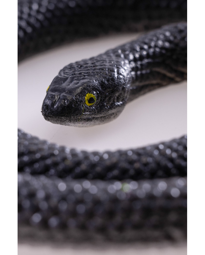 Plastic snake length h.cm.70 on card Plastic snake length h.cm.70 on card