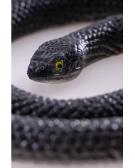 Plastic snake length h.cm.70 on card Plastic snake length h.cm.70 on card