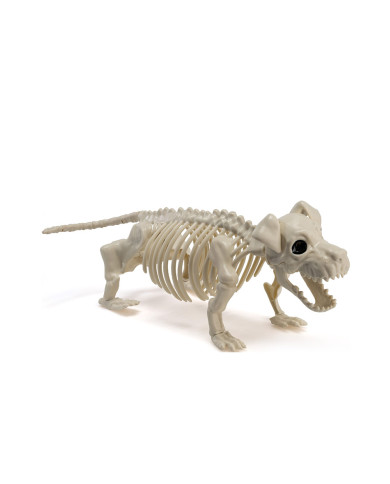 Esqueleto perro de plástico de 45 cm de largo aprox. con etiqueta colgante/etiqueta adhesiva