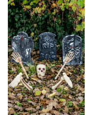 5 skeleton bones with pickets on card