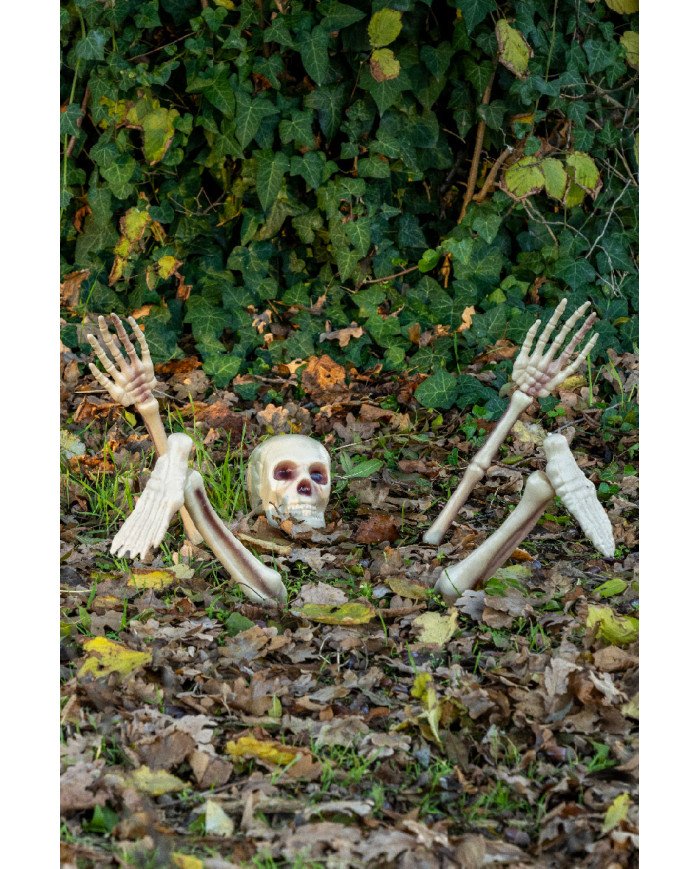 5 skeleton bones with pickets on card