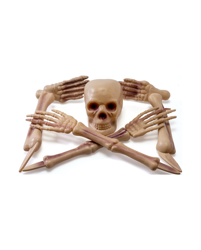 5 skeleton bones with pickets on card