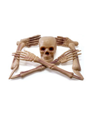 5 skeleton bones with pickets on card