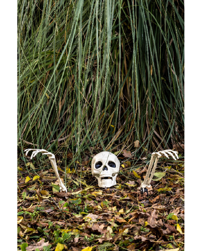 3 skeleton bones with pickets on card