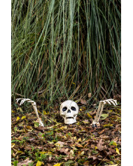 3 skeleton bones with pickets on card