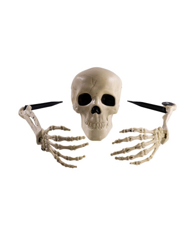 3 Skelettknochen mit Pflöcken auf Pappkarton 3 Skelettknochen mit Pflöcken auf Pappkarton