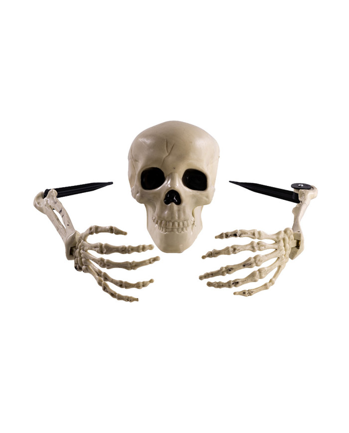 3 huesos esqueleto con piquetas sobre cartoncillo
