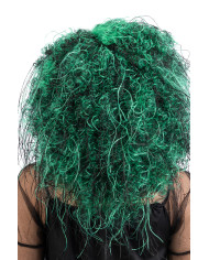 Perruque cheveux bouclés noire et verte, dans un étui