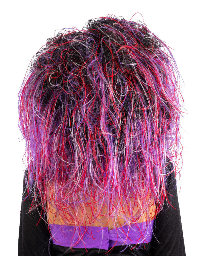 Perruque cheveux bouclés multi-couleurs violet, dans un étui Perruque cheveux bouclés multi-couleurs violet, dans un étui