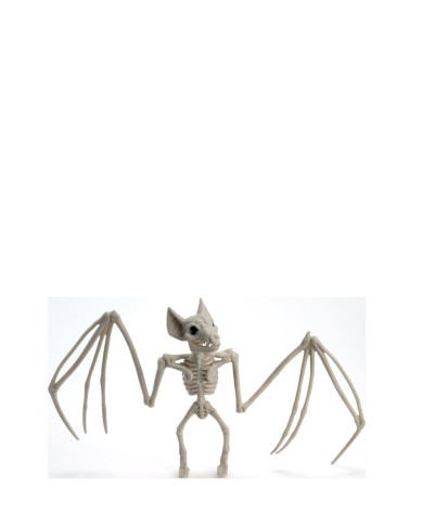 Squelette chauve-souris en plastique, larg. 30 cm env., avec étiquette volante / étiquette