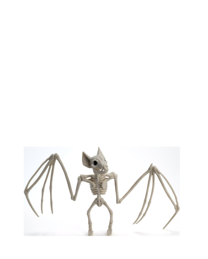 Squelette chauve-souris en plastique, larg. 30 cm env., avec étiquette volante / étiquette