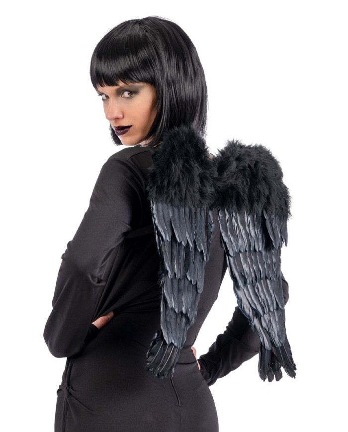 Ailes noires en plumes, h. 50x45 cm env., dans un sachet avec étiquette ferme-sachet