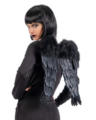 Black feather wings h.cm.50x45 in pbh