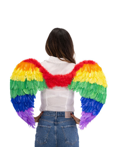 Alas de plumas arco iris de unos 80 x 55 cm de altura, en bolsa Alas de plumas arco iris de unos 80 x 55 cm de altura, en bolsa