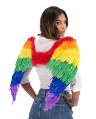 Alas de plumas arco iris de unos 80 x 55 cm de altura, en bolsa
