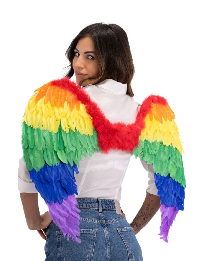 Rainbow wings in feathers h.cm. 80x55 in bag