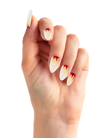 Faux ongles adhésifs félins dans une boîte