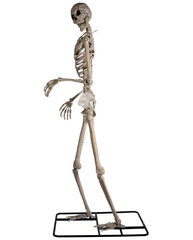 Esqueleto gigante de unos 320 cm de altura en pedestal con luces (pilas incluidas) en caja