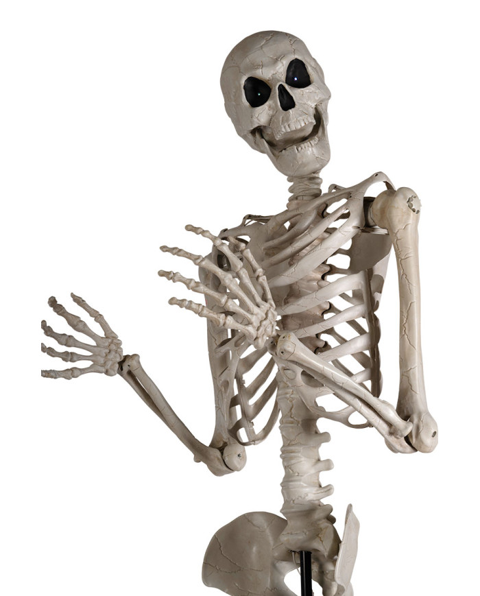 Giant skeleton h. cm 320 w/lights (batteries included) with pedestal in box