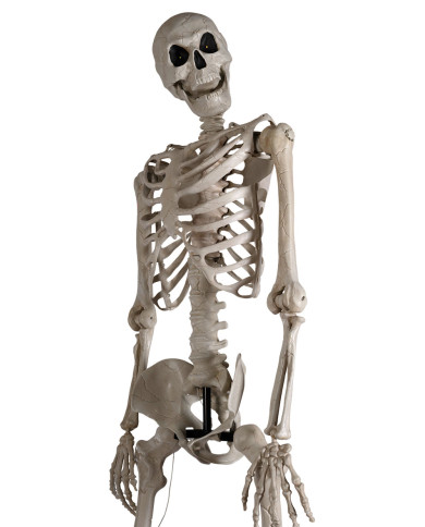 Riesenskelett H. ca. 320 cm auf Sockel mit Licht (Batterien enthalten) in Schachtel