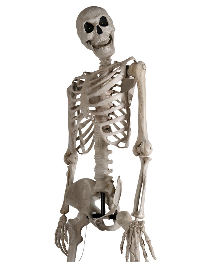 Giant skeleton h. cm 320 w/lights (batteries included) with pedestal in box