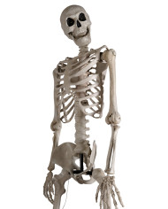 Giant skeleton h. cm 320 w/lights (batteries included) with pedestal in box