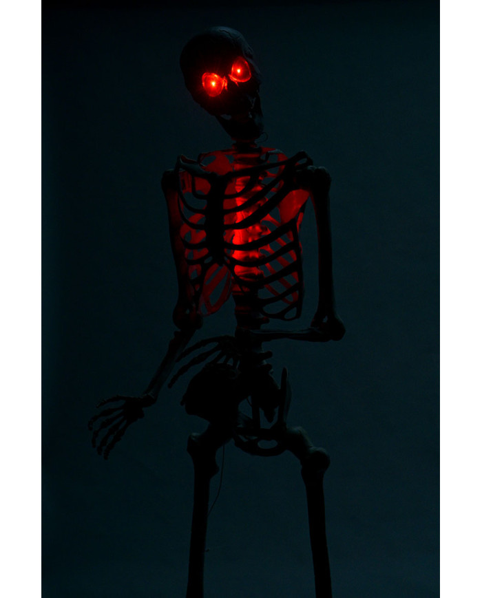 Giant skeleton h. cm 320 w/lights (batteries included) with pedestal in box