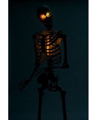 Esqueleto gigante de unos 320 cm de altura en pedestal con luces (pilas incluidas) en caja