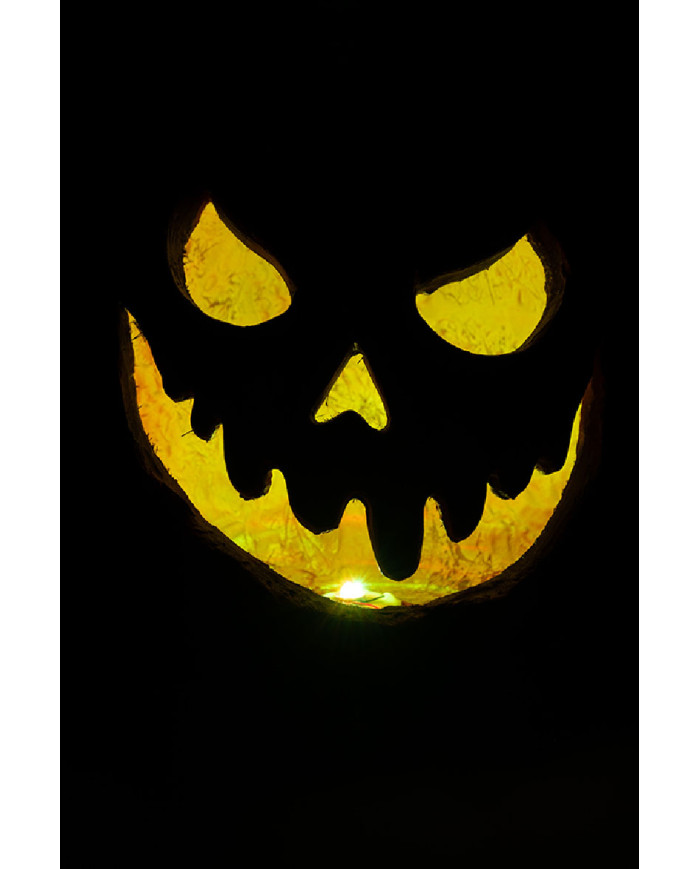 Citrouille décorative en résine avec lumières h. env. 33 cm dans une boîte