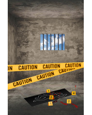 Crime scene set in box