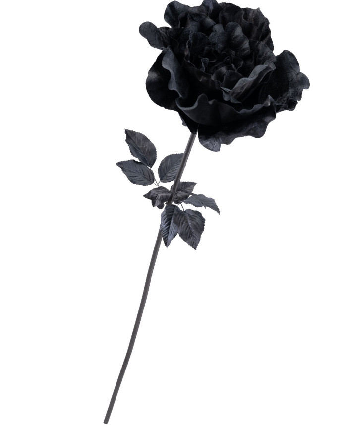 Giant black velvet rose w/stem h.cm.150 with hangtag/label