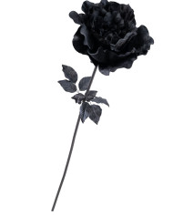 Giant black velvet rose w/stem h.cm.150 with hangtag/label