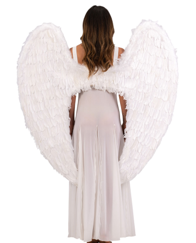 Ailes blanches en plumes h. env. 120x120 cm dans un sachet Ailes blanches en plumes h. env. 120x120 cm dans un sachet