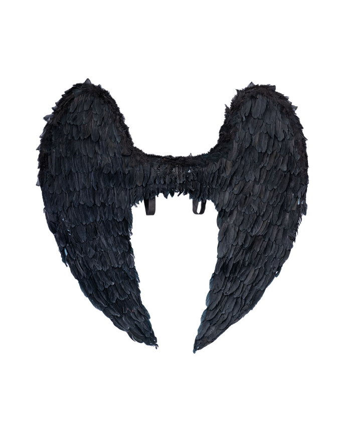 Ailes noires en plumes h. env. 120x120 cm dans un sachet Ailes noires en plumes h. env. 120x120 cm dans un sachet