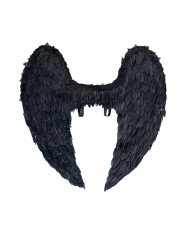 Black feather wings h.cm. 120x120 in bag Black feather wings h.cm. 120x120 in bag