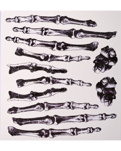 Carpeta tatuajes de mano con huesos en bolsa sobre cartoncillo