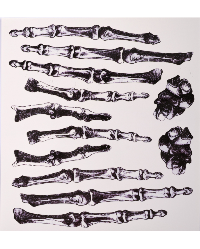 Hand bones tattoos in bag on card