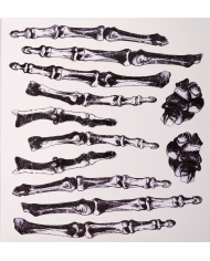 Hand bones tattoos in bag on card