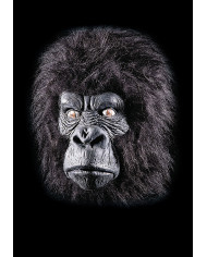 Gorilla Mask In Pbh