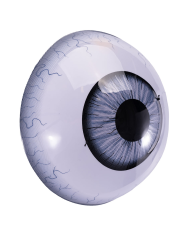 Giant eye plastic mask with header