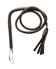 Abenteurer-Set (Hut und Peitsche) auf Pappkarton