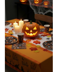 6 black Halloween paper plates diam.cm.23 in bag