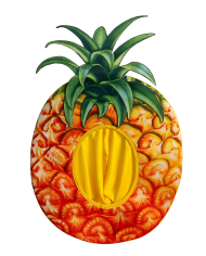 Pineapple hat in fabric with label